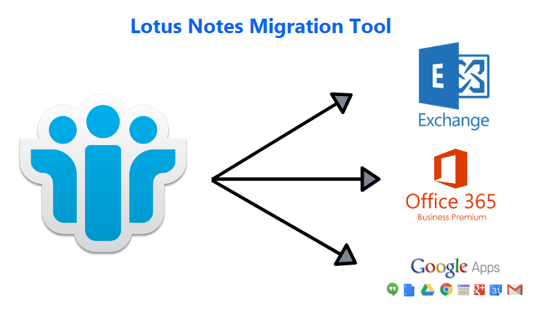 Lotus Migration Services